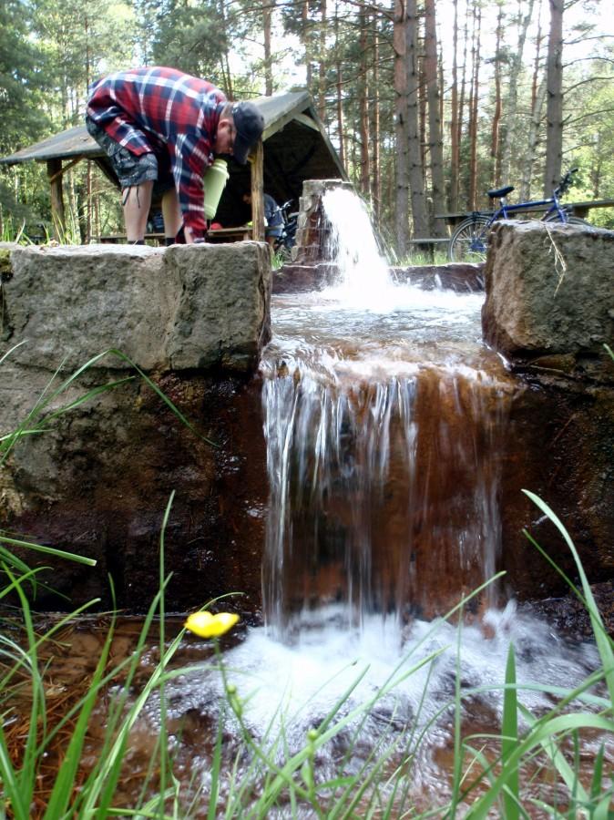 Źródełka w pobliżu Koszęcina