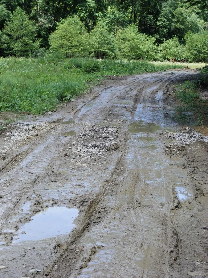 Jedna z dzisiejszych błotnych dróg