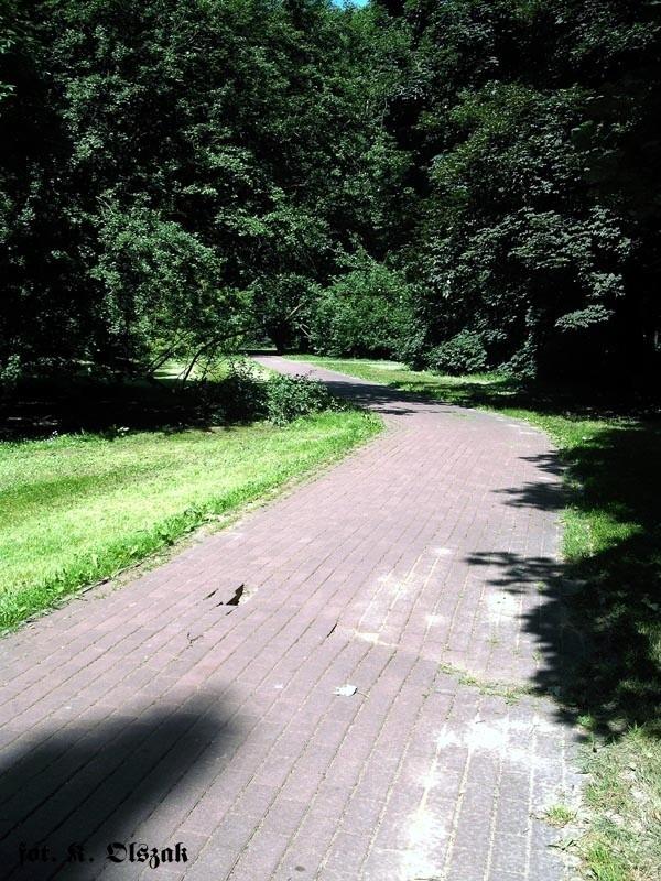 Pułapka