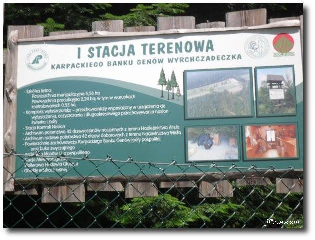 Bank genów