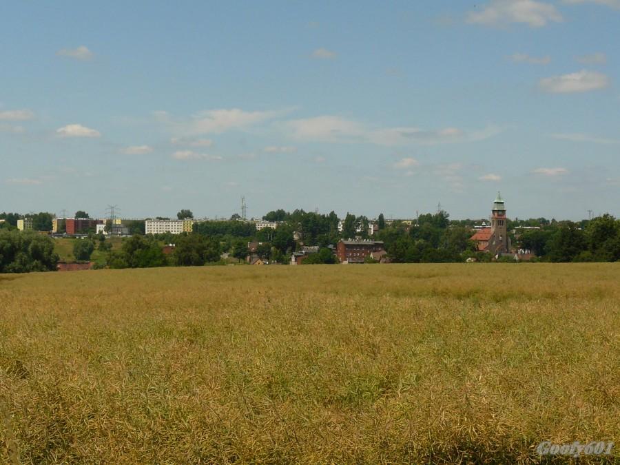 Panorama Rokitnicy