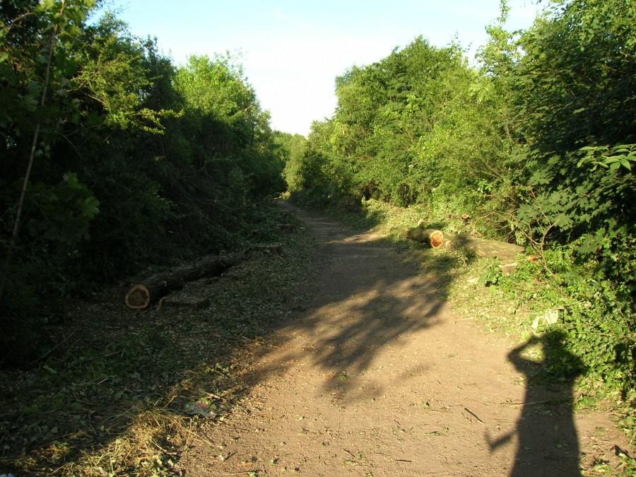 Park Fazaniec w Bytomiu