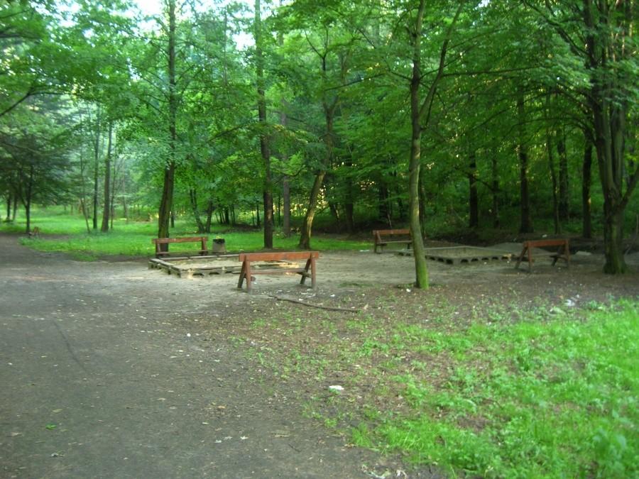 Park Fazaniec w Bytomiu Szombierkach