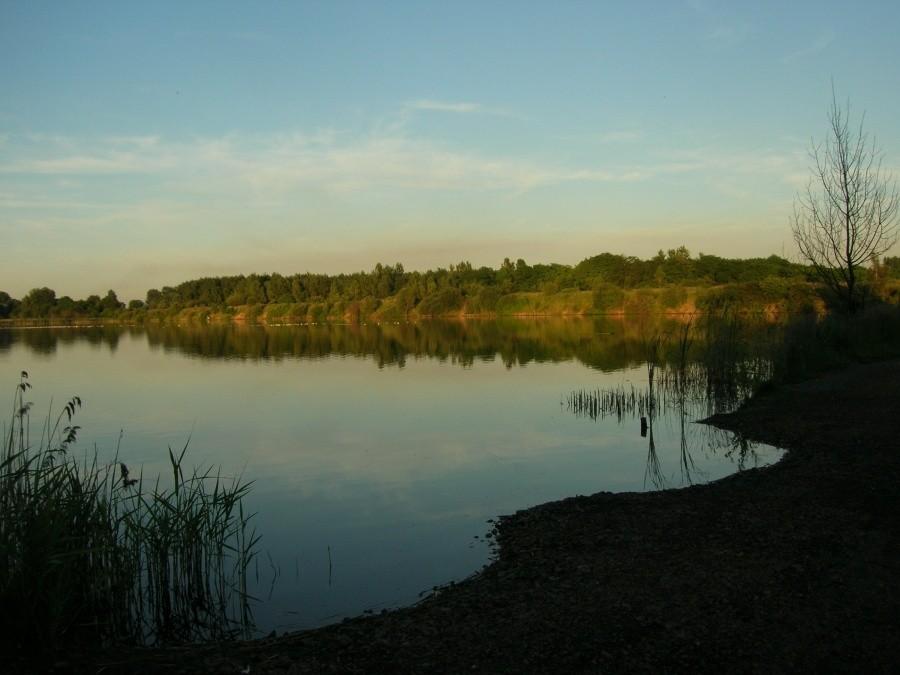 Rezerwat Żabie Doły w Bytomiu