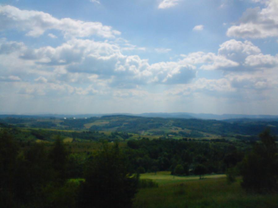 Rezerwat Wilcze