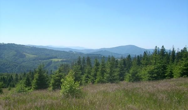 Widoki nad Brenną
