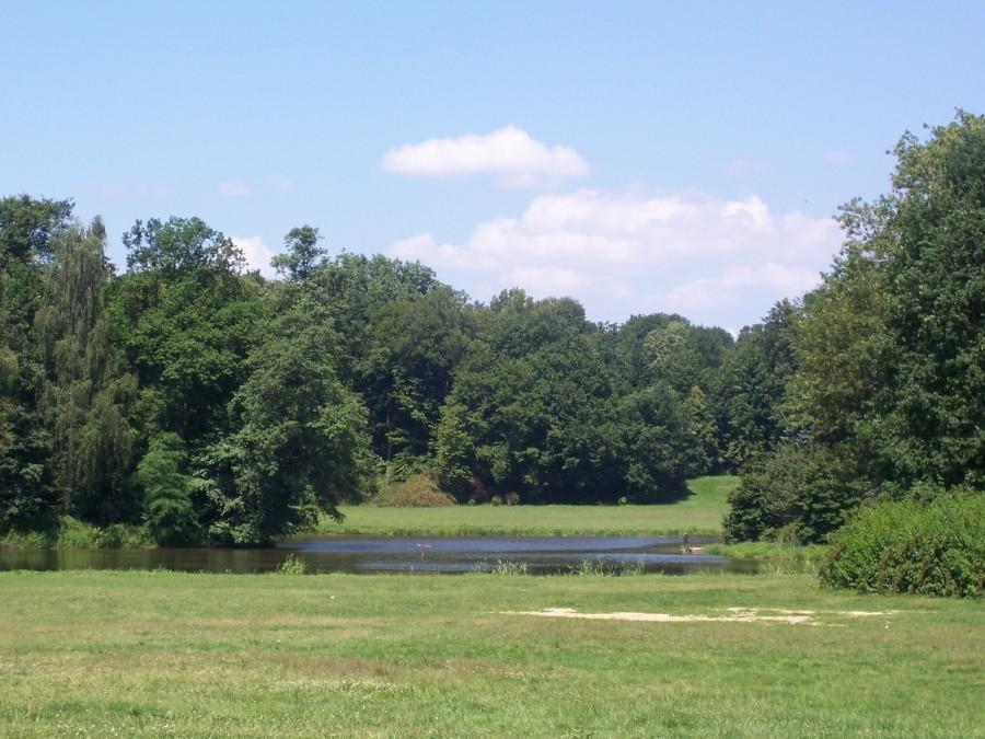 park wokół zamku pszczyńskiego