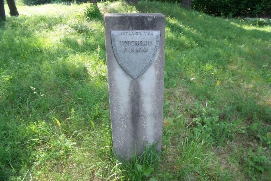 Punkt 19 grodzisko