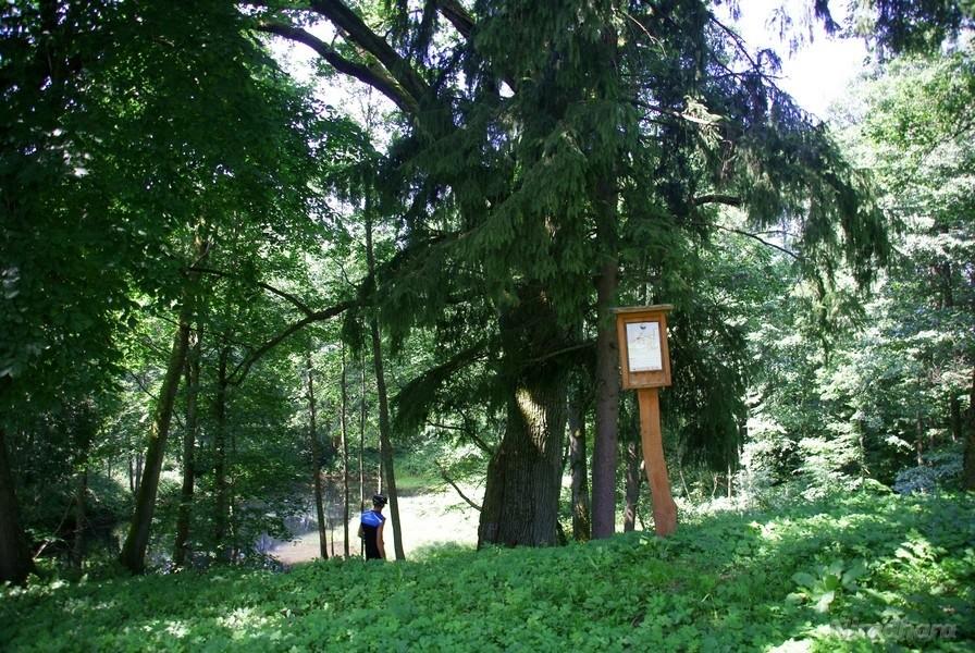 Piotrek idzie szukać natchnienia