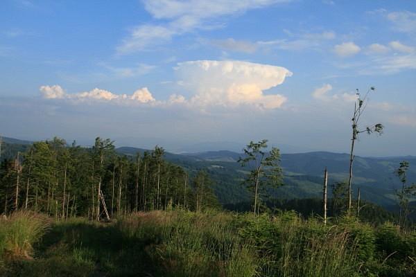 Nad Kotelniczym Potokiem