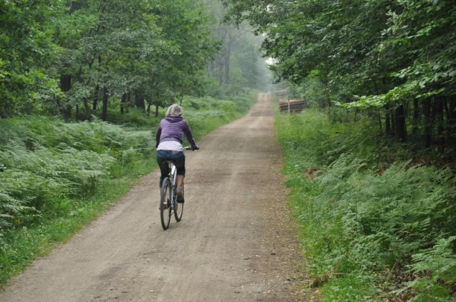 Bikerka w puszczy dulowskiej