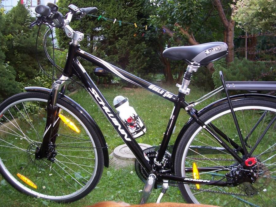 schwinn world gsd