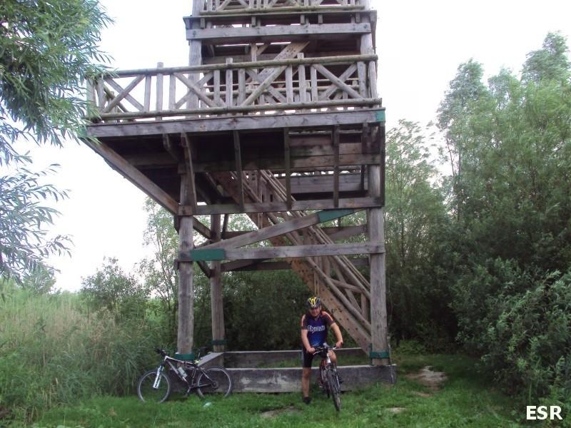 Jezioro Drużno - wieża widokowa.