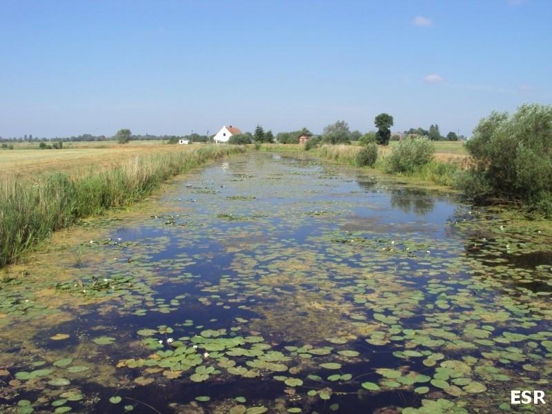 Żuławska woda.
