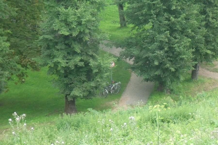 My zwiedzamy górę zamkową a Kellyski cierpliwie czekają