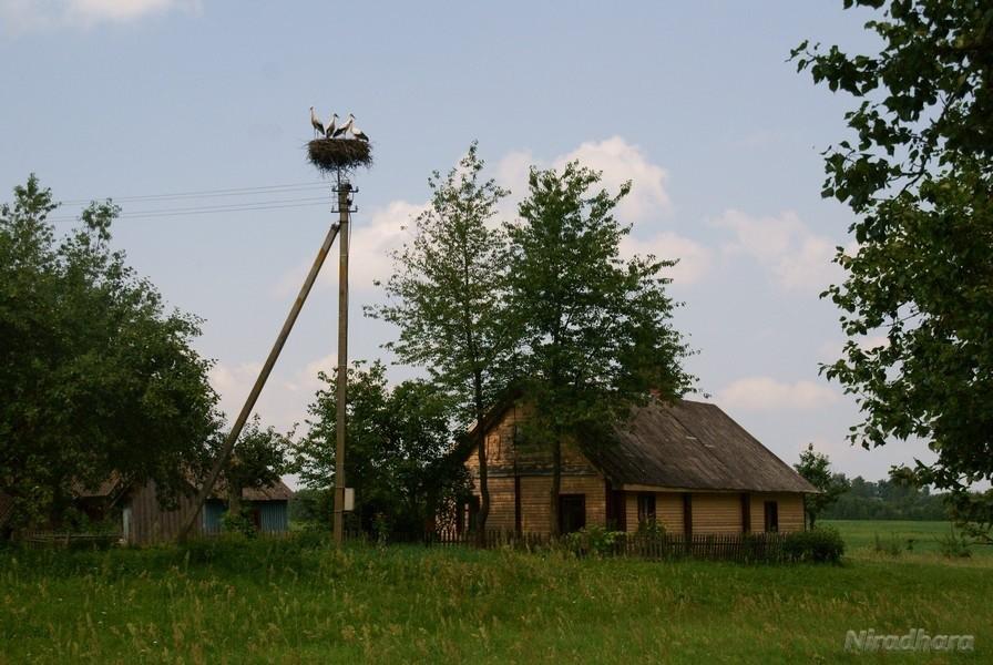 w gnieździe już tłok