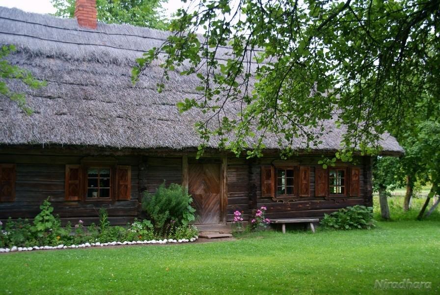 prawdziwa strzecha