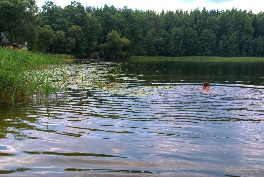 wodnik Szuwarek