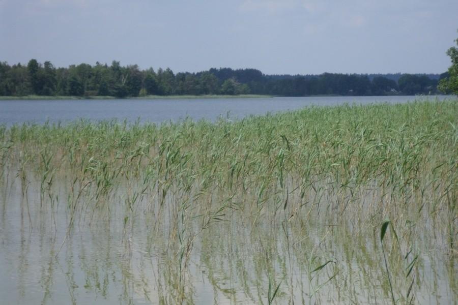 KrainalLasów i jezior