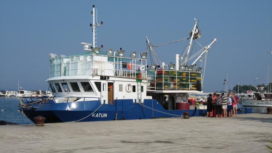 Port w Novalji - świeża dostawa ryb