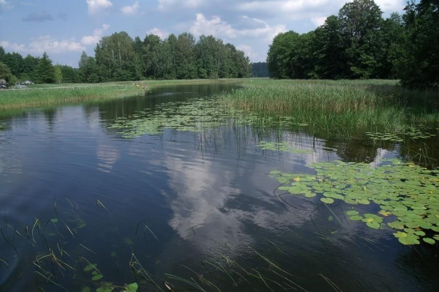Jeziorko