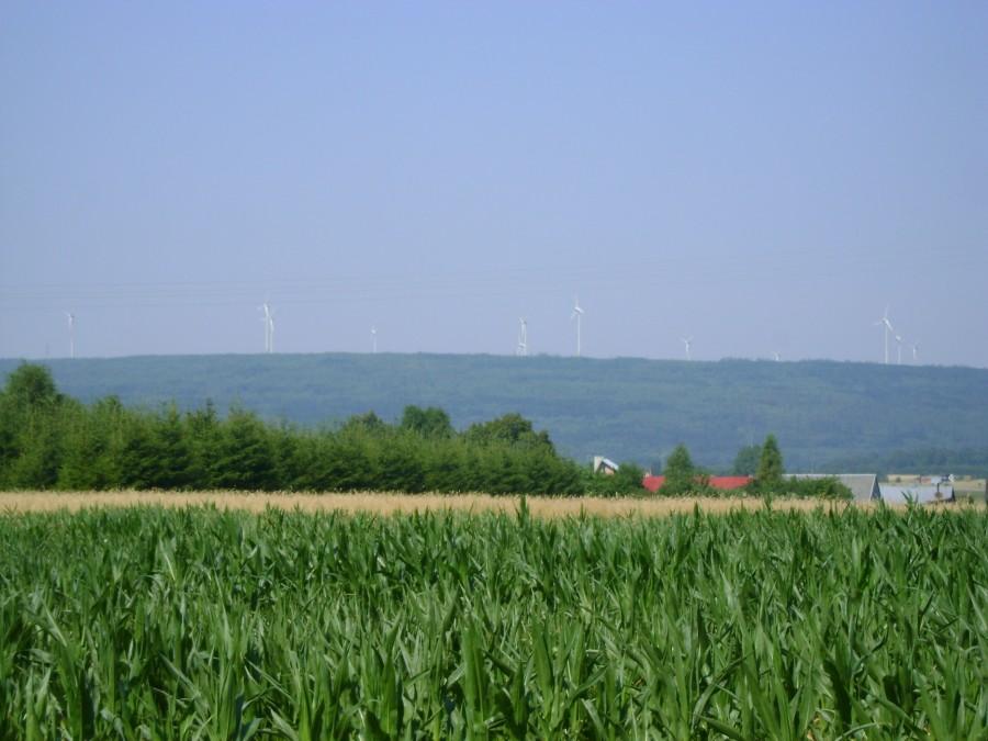 Góra Kamieńsk