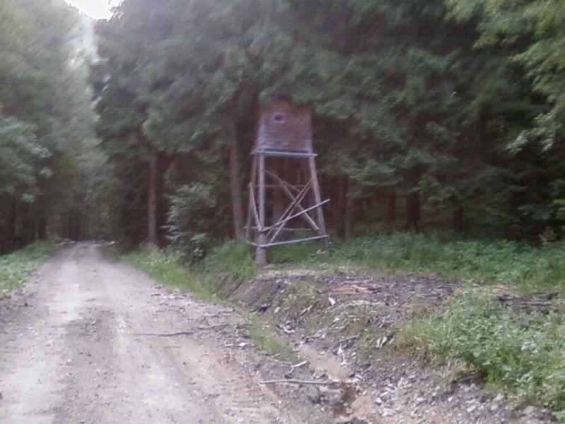 Ambona