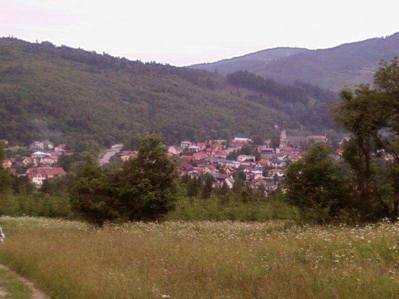 Rajcza widzina ze szlaku