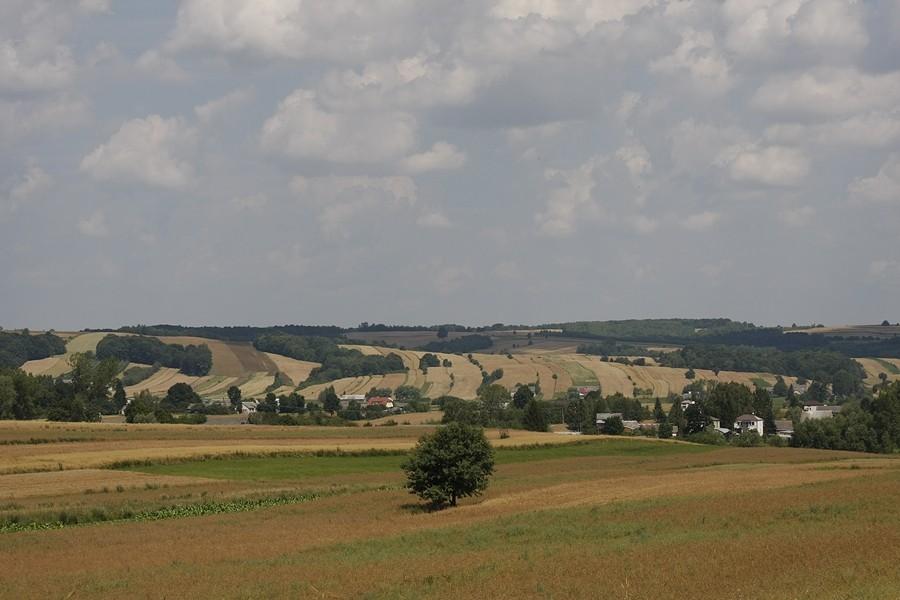 Roztocze północne - okolice Skierbieszowa