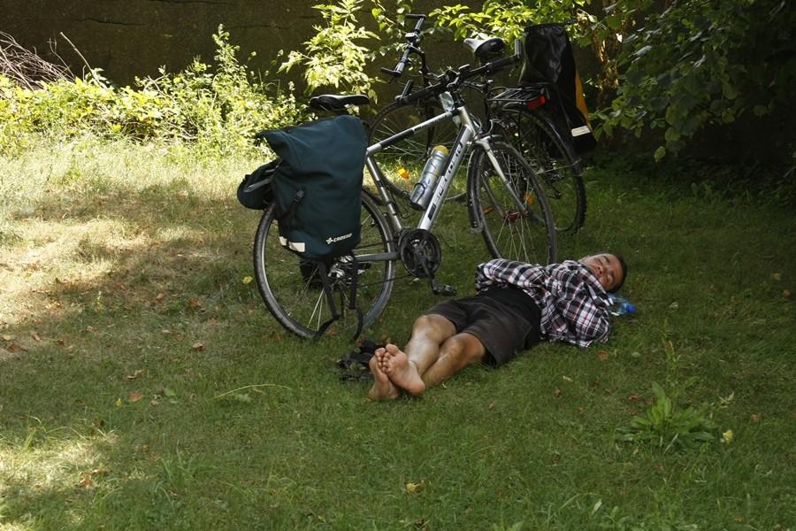 Żdżanne - popołudniowa drzemka wśród mrówek.