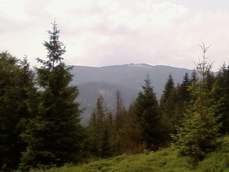 Widok z Praszywki na Bendoszkę