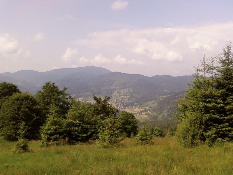 Widok z Praszywki