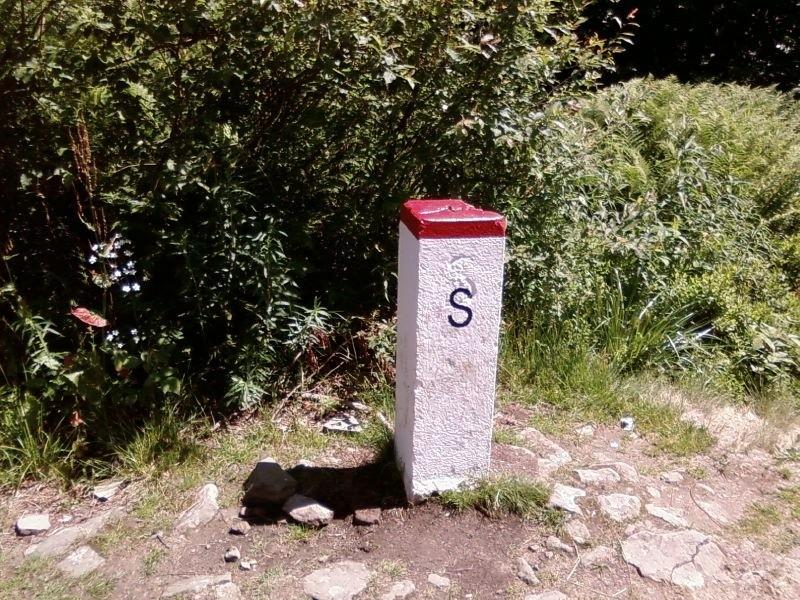 Słupek geaniczny
