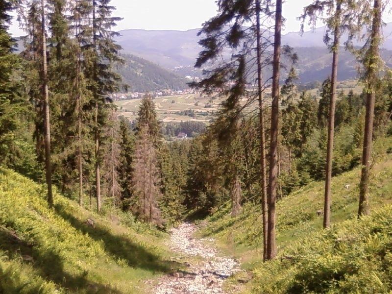 Widok z końca dostępnego podejścia