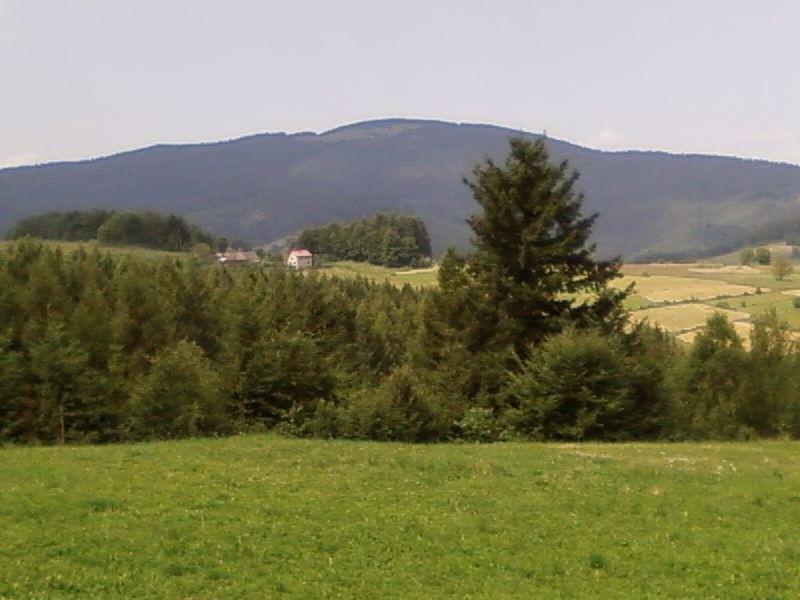 Widok ze zbocza