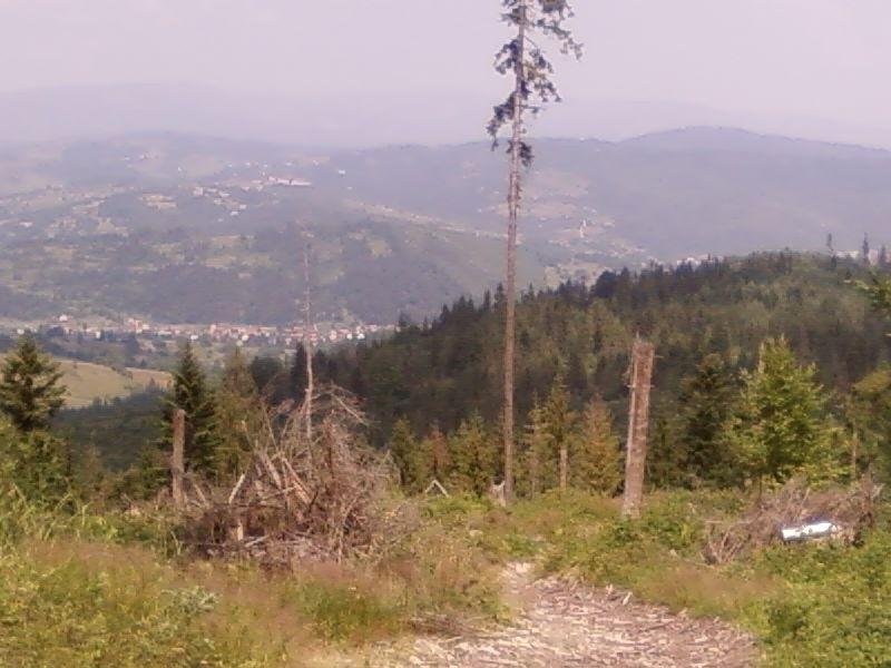 Widok ze szlaku
