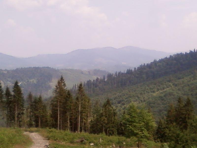 Widok ze szlaku