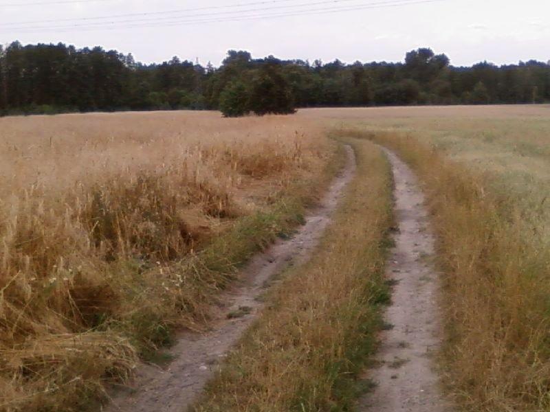 Polna dróżka
