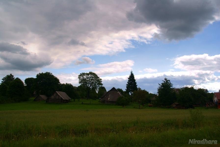Miedniki Królewskie
