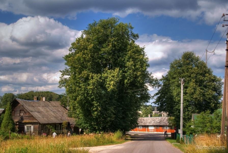 Szumsk