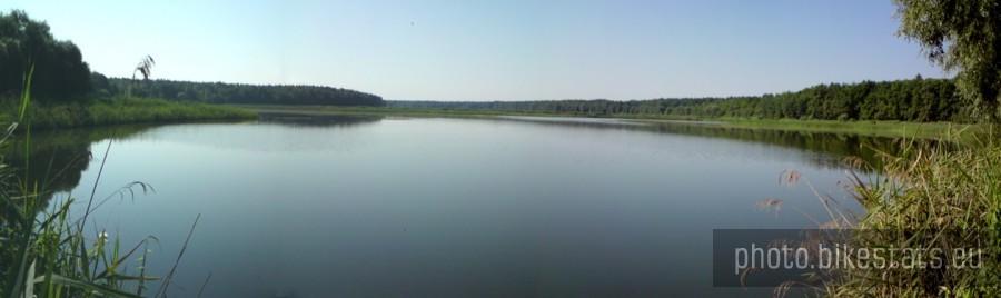 Staw