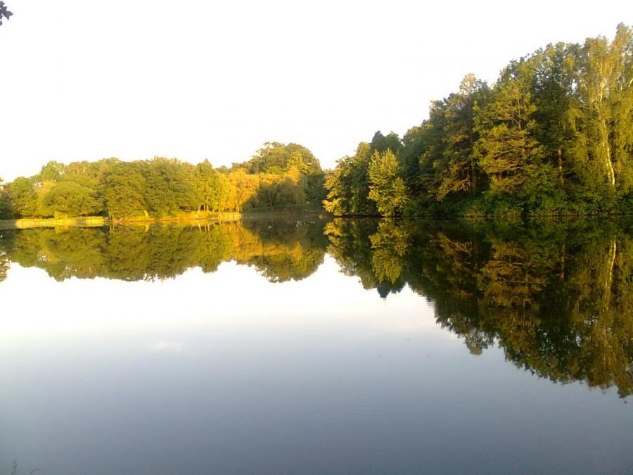 Świerklaniec Park