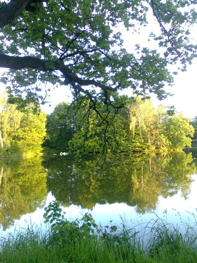Świerklaniec Park