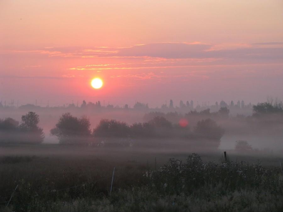 Miechowicki wschód słońca