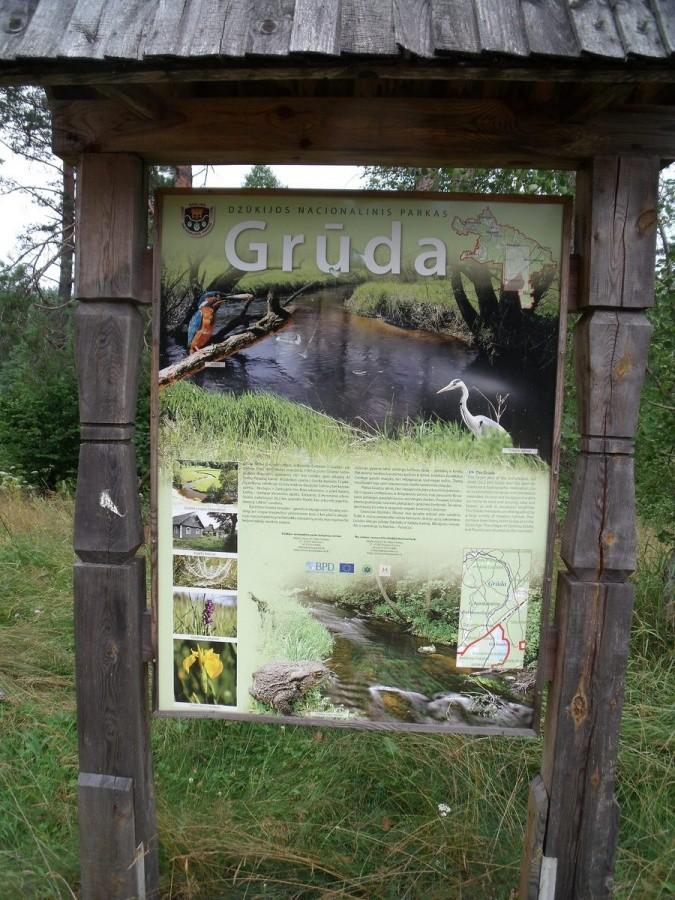 W parku jest wszystko, łosie też