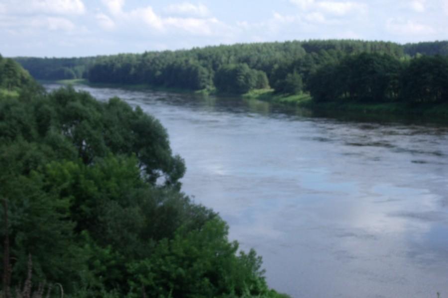 Znów Niemen