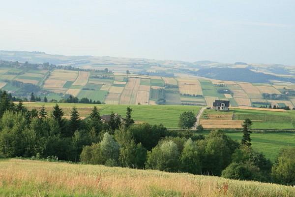 Mogilno