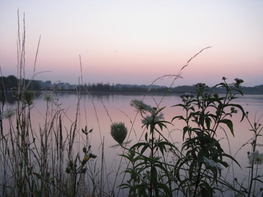 żabie doły