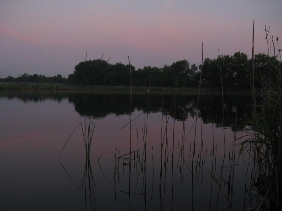 żabie doły