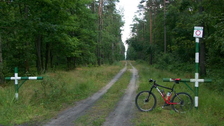 W drodze powrotnej